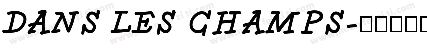 DANS LES CHAMPS字体转换